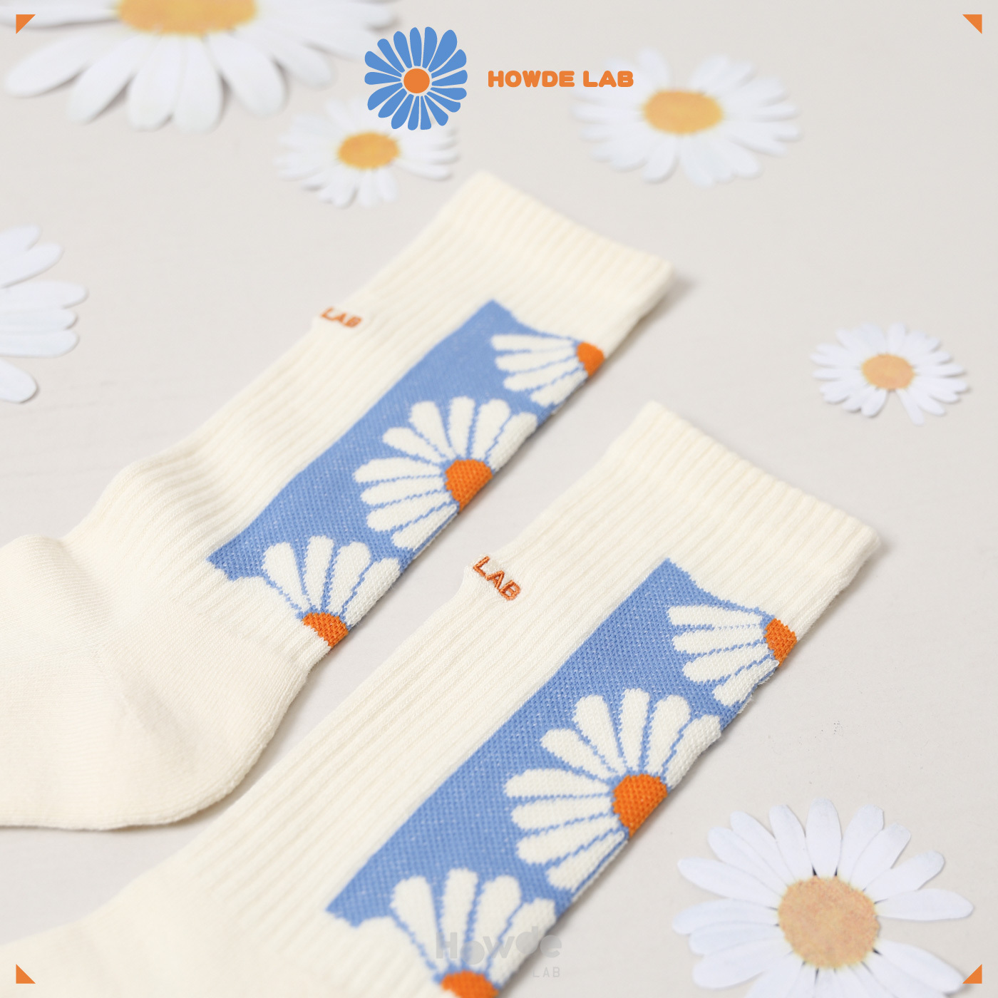 HOWDE LAB "Daisy" SOCKS 奶油雛菊 籃底簍空花朵 長襪 造型襪 高筒襪【23SS02-IV】