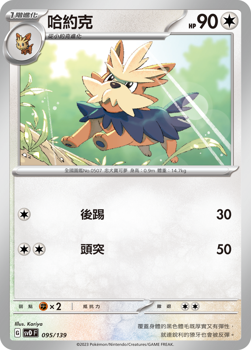 SVDF 095/139 哈約克