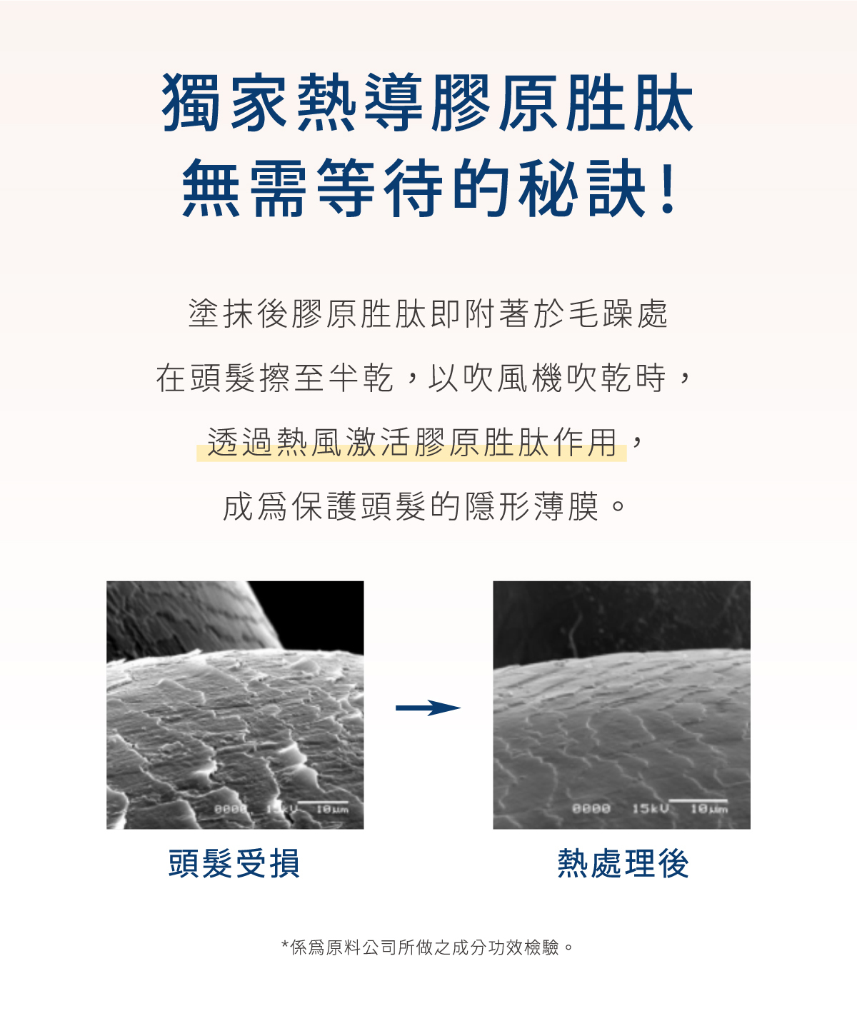 獨家熱導膠原胜肽 無需等待的秘訣