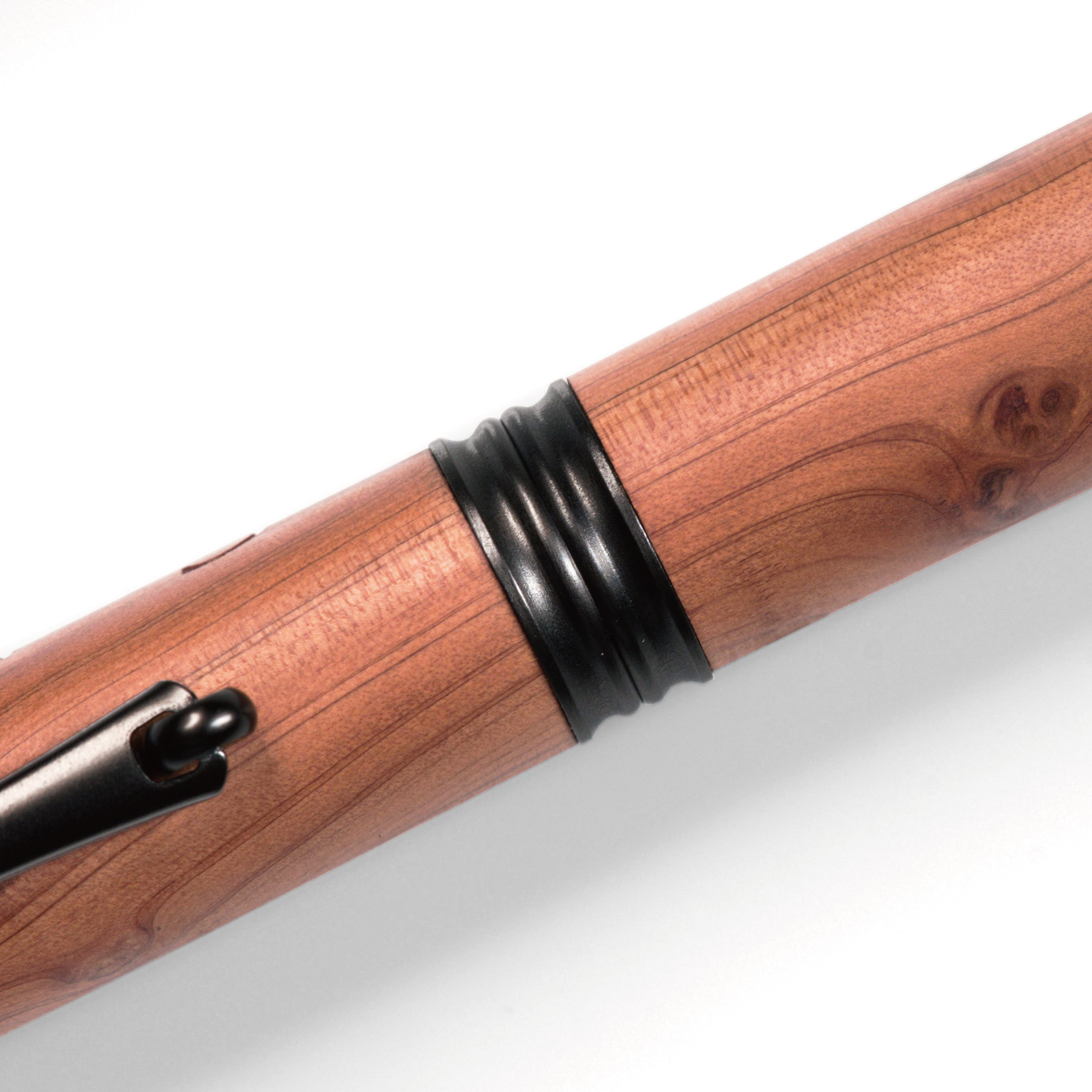 Old Pal 鋼筆 - 龍騰