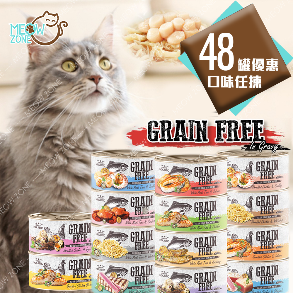 Absolute Holistic Grain Free 肉絲湯汁貓罐 80g - 48罐優惠裝