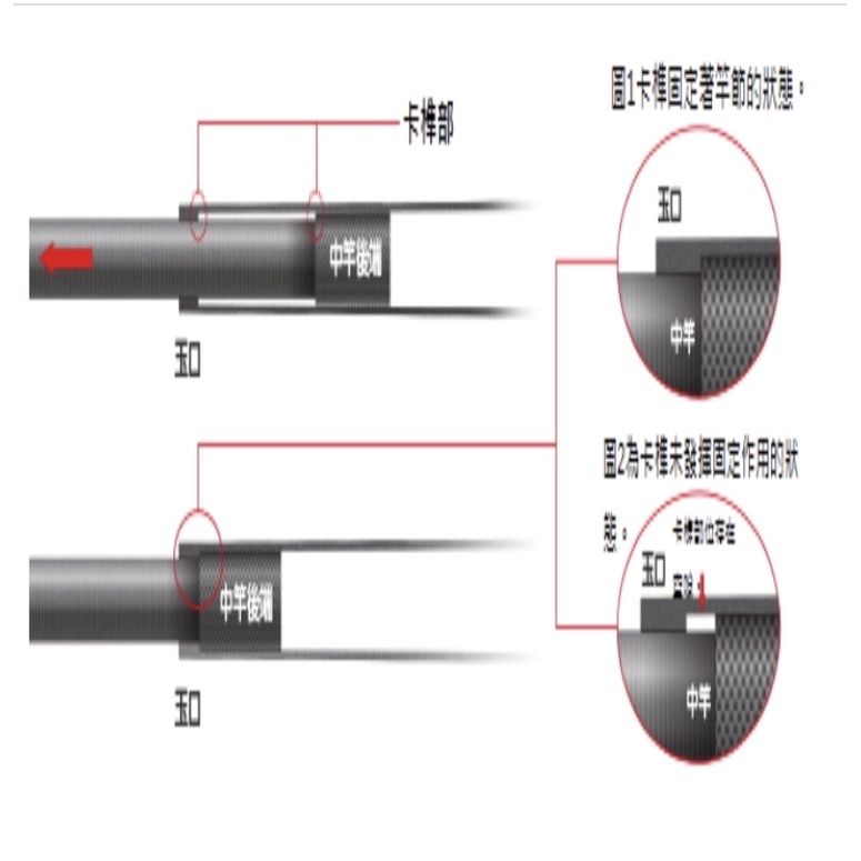 PLAT/shimano 2024 fire blood tamanoe 550 free shipping sep