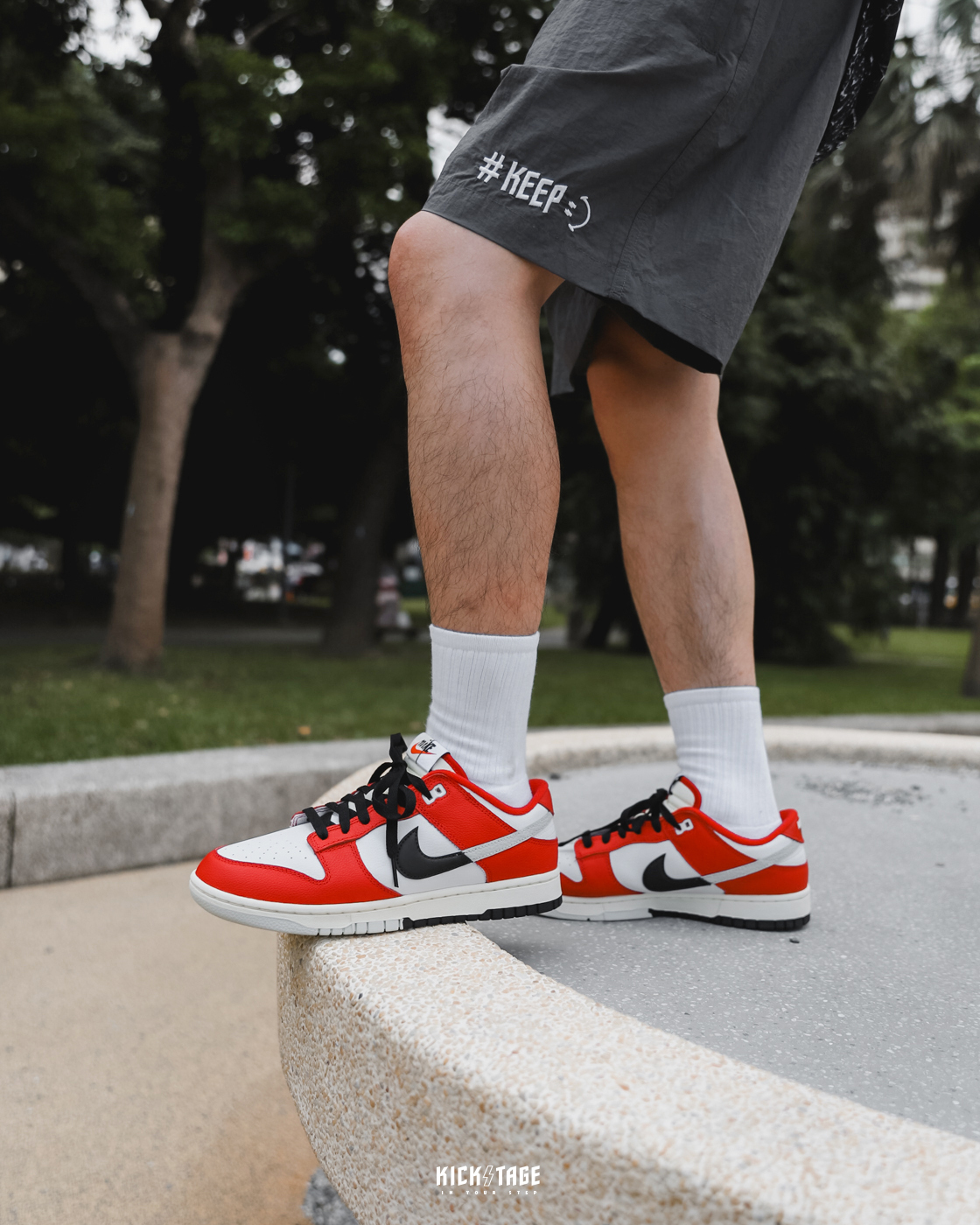 NIKE DUNK LOW Retro PRM Chicago Split-