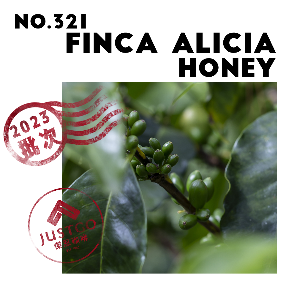 [生豆] No.321 宏都拉斯 艾莉西亞 蜜處理