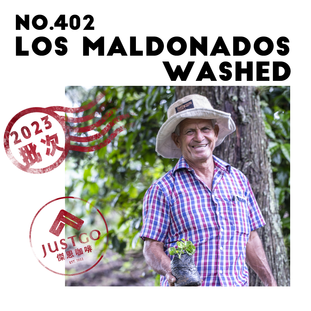 [生豆] No.402 宏都拉斯 瑪多那多 水洗