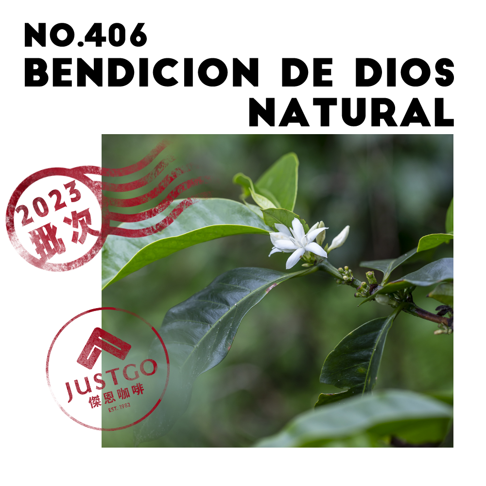 [生豆] No.406 宏都拉斯 天賜莊園 日曬