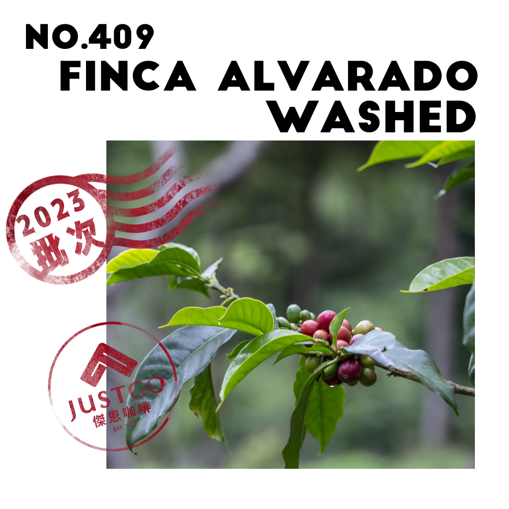 [生豆] No.409 宏都拉斯 阿瓦拉多莊園 水洗