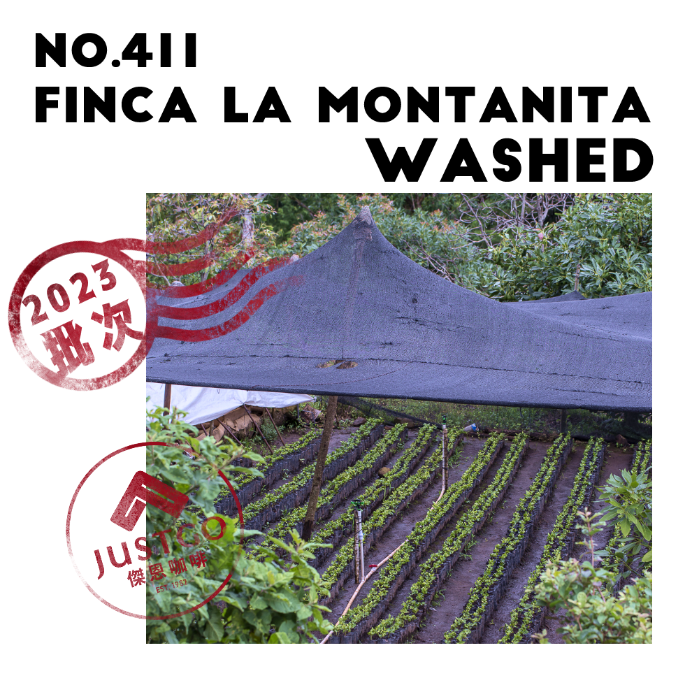 [生豆] No.411 宏都拉斯 小山園 水洗