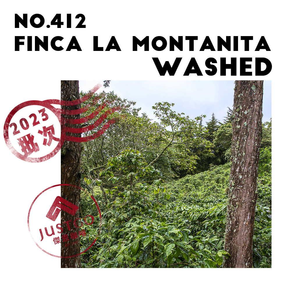 [生豆] No.412 宏都拉斯 小山園 延長發酵水洗