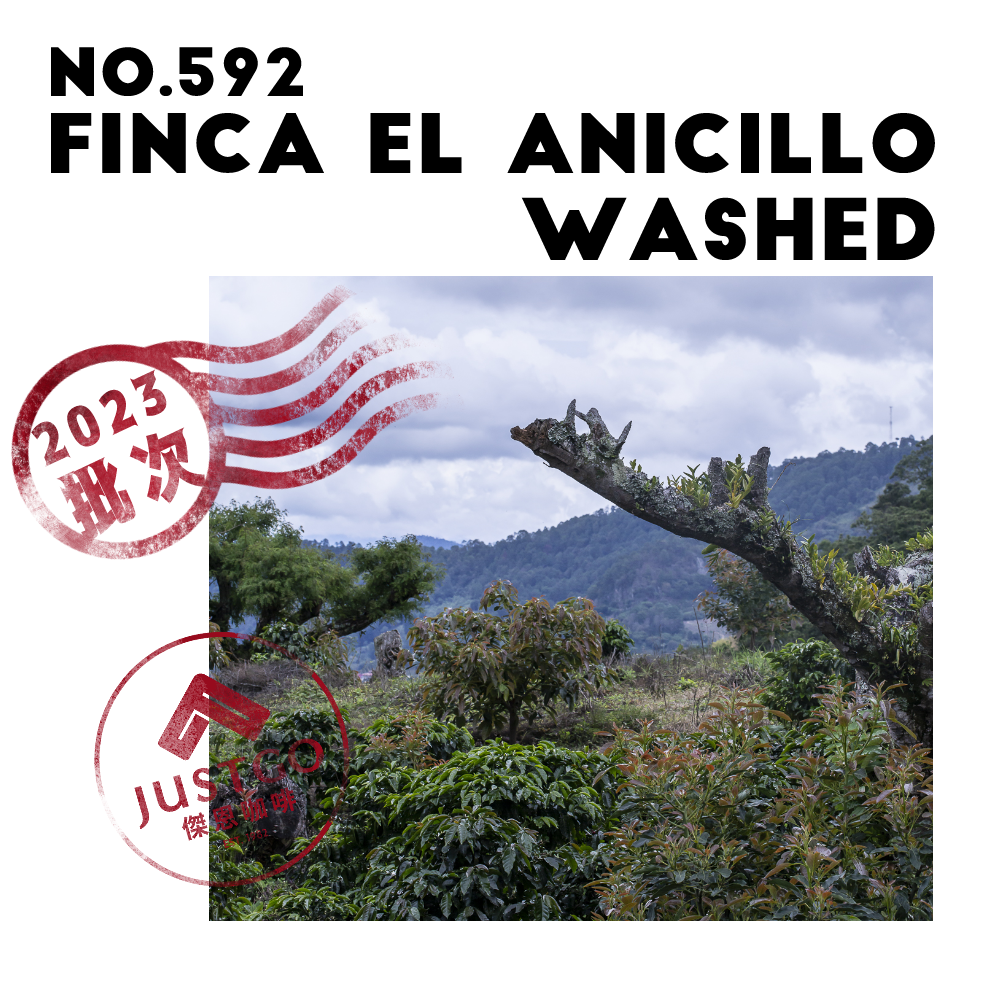 [生豆] No.592 宏都拉斯 安尼修莊園 水洗
