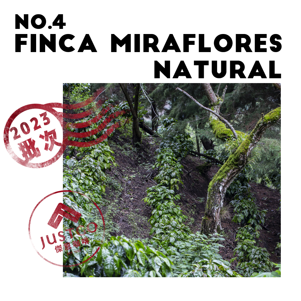 [生豆] No.4 宏都拉斯 米拉芙洛莊園 日曬
