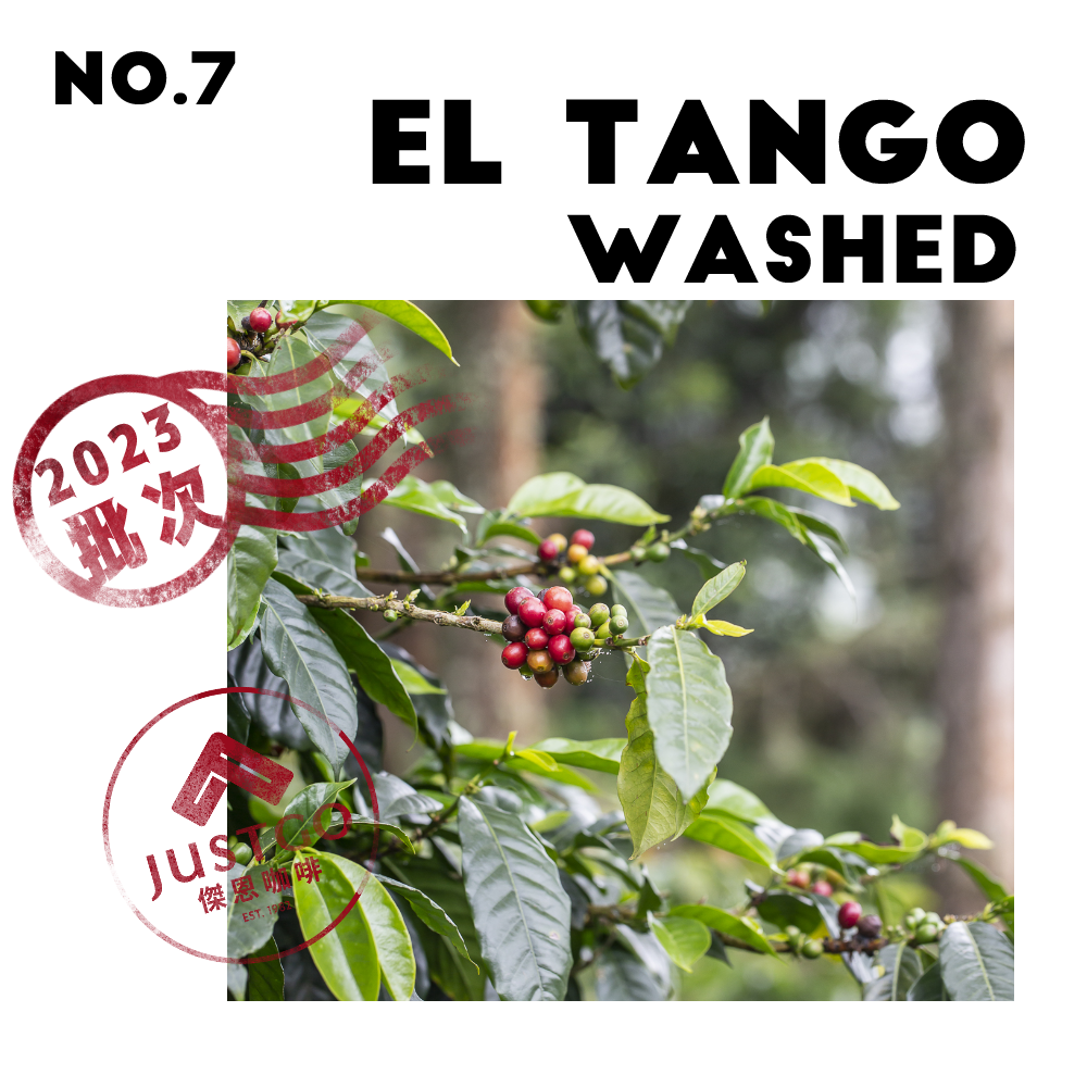[生豆] No.7 宏都拉斯 探戈莊園 水洗