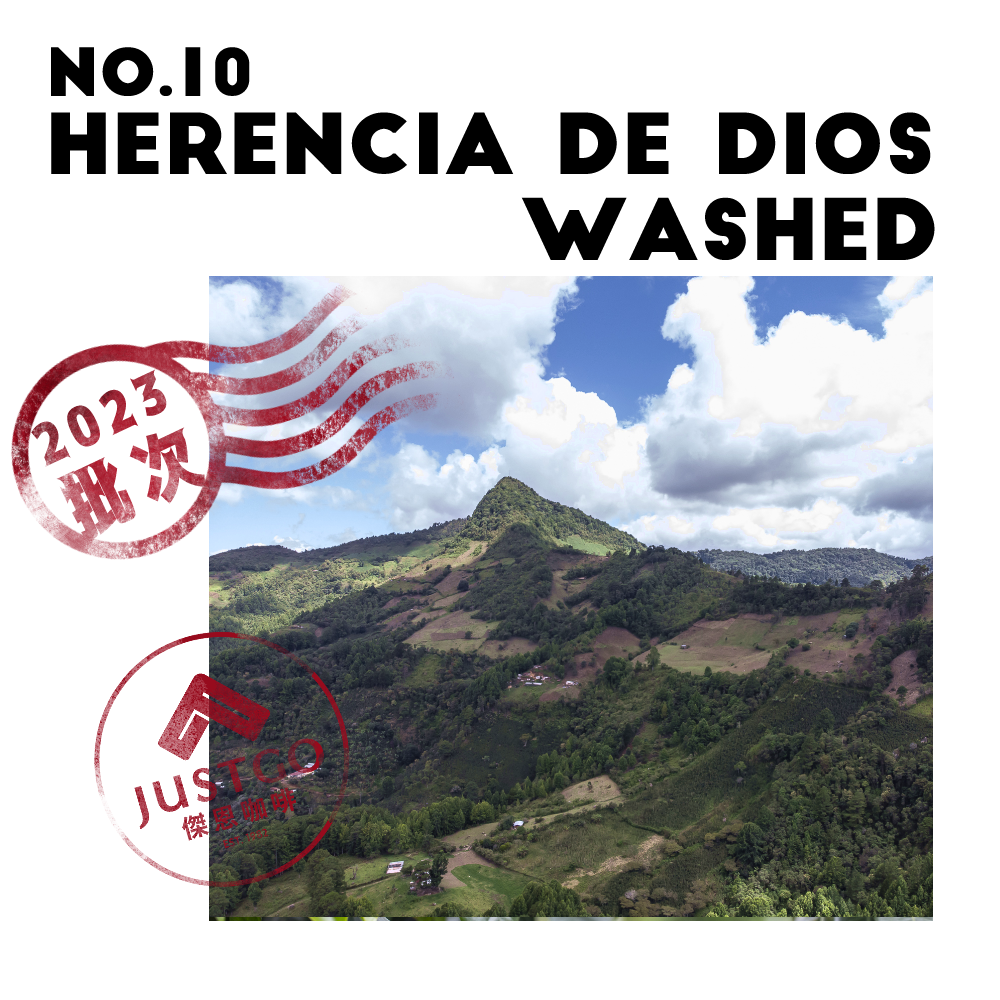 [生豆] No.10 宏都拉斯 天恩莊園 水洗