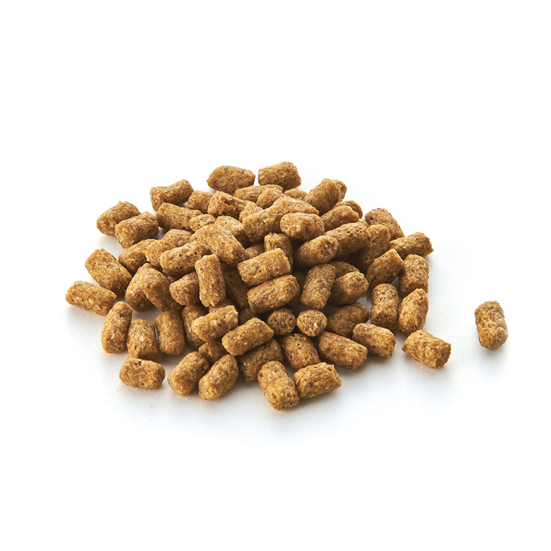 Marukan 高蛋白低脂刺蝟糧 - 300g