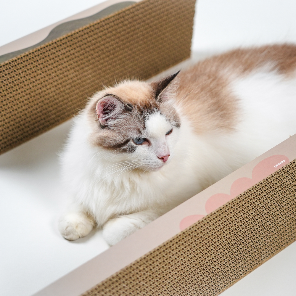 Ponwaa｜色塊抓板Mini (3片盒裝)