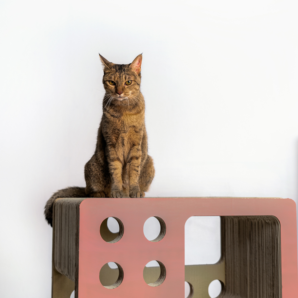 Ponwaa｜洞洞貓大廈 - 灰粉紅