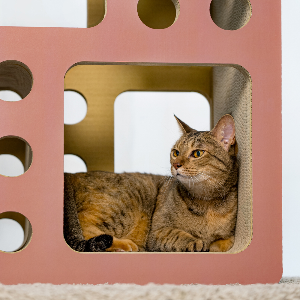 Ponwaa｜洞洞貓大廈 - 灰粉紅