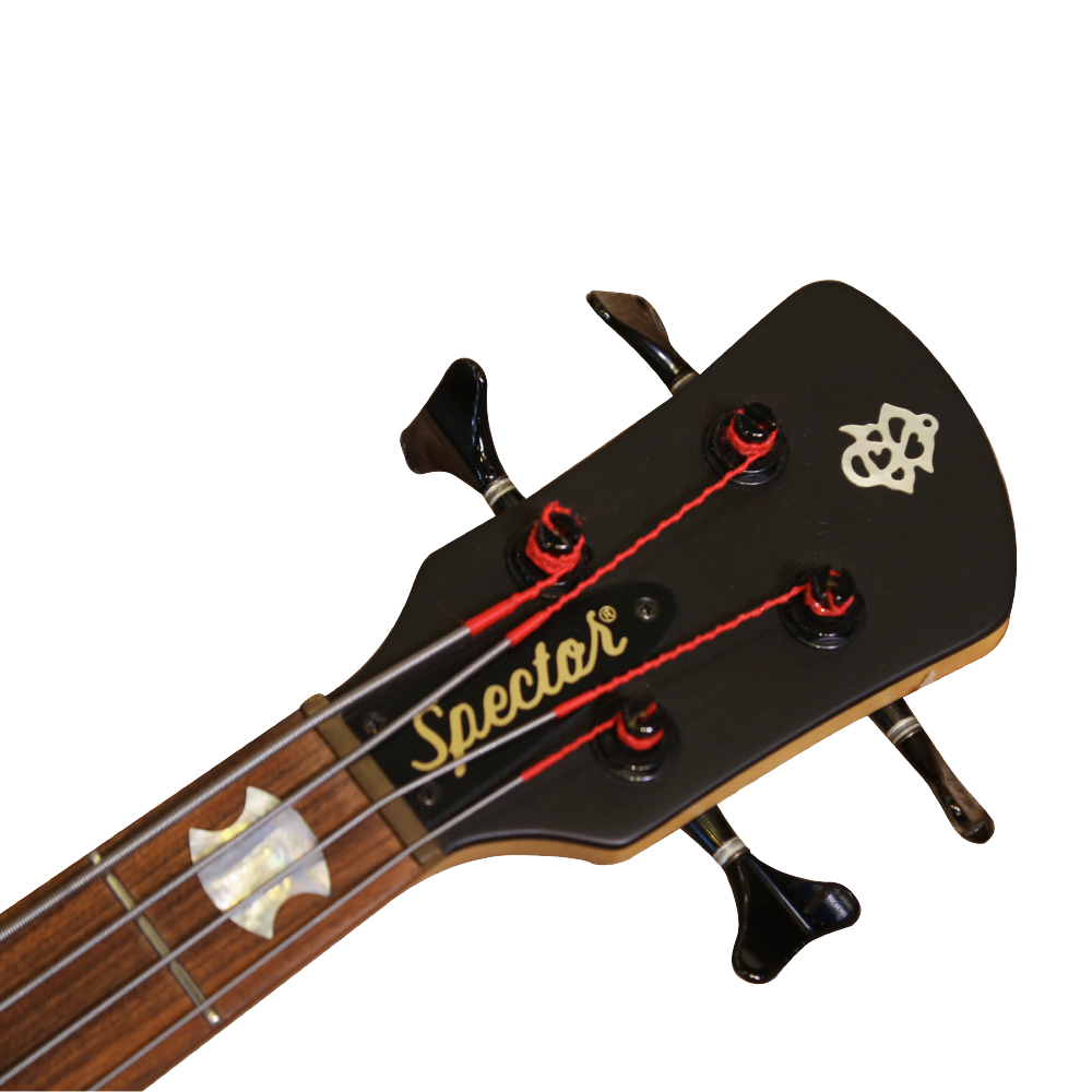 Spector Spector / NS-4H2-FM 2011年 電貝斯(Golden Satin) 第 3 張圖片｜三峽吉他 / Bass