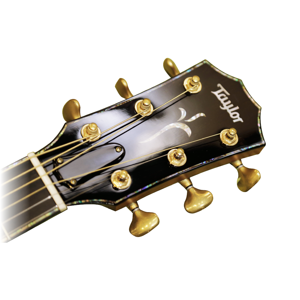 Taylor Taylor / PS-18E LTD 2013年 電木吉他(Nature-Spruce) 第 3 張圖片｜三峽吉他 / Bass