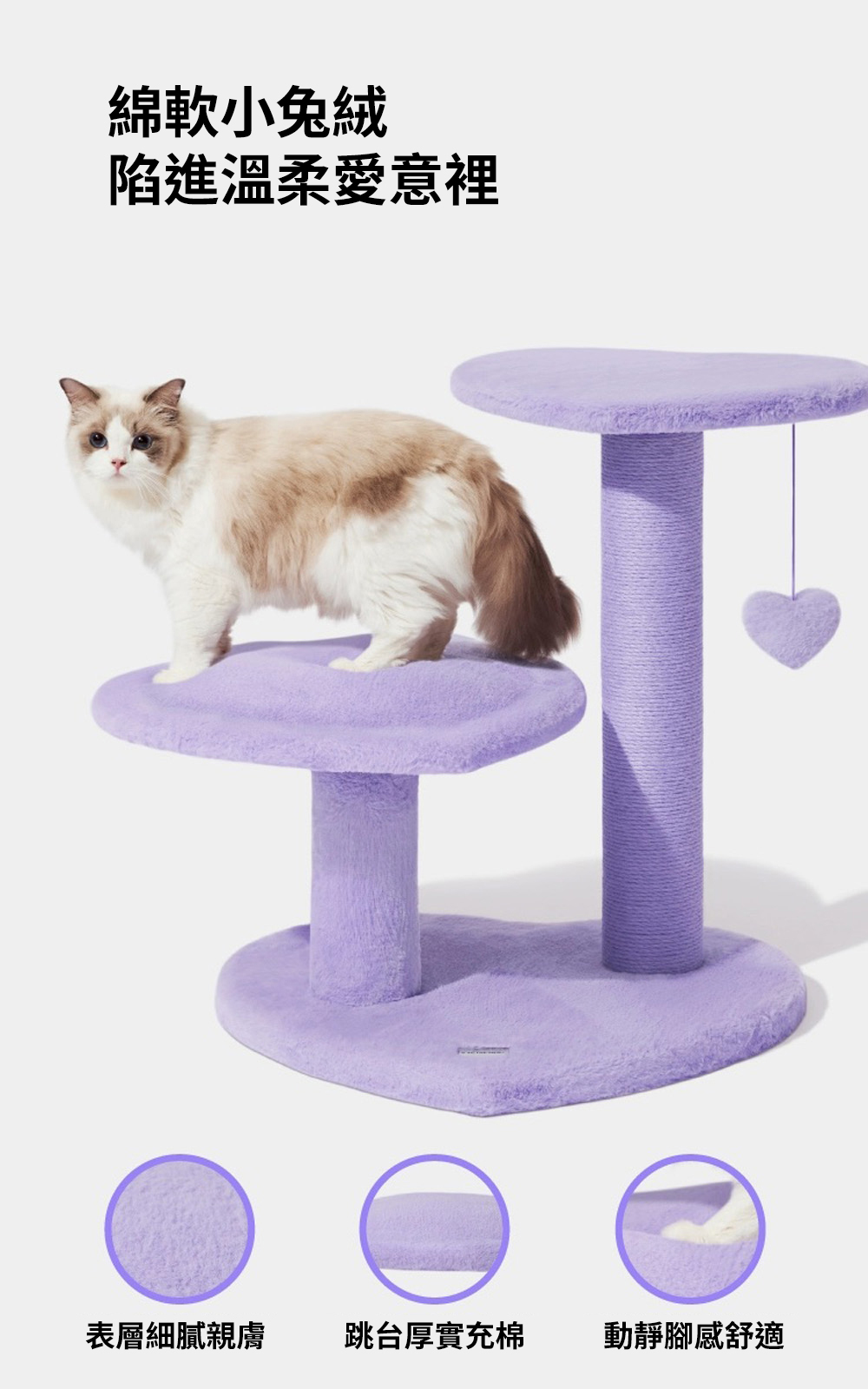 心動紫貓爬架