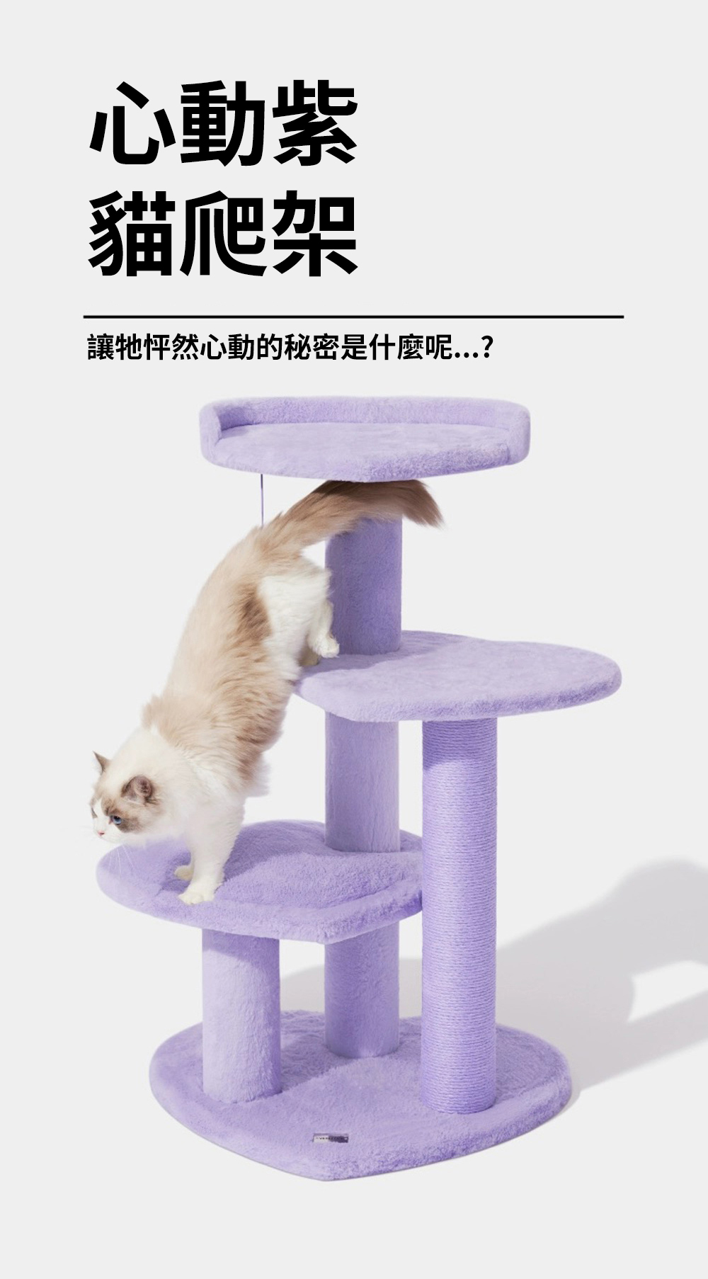 心動紫貓爬架