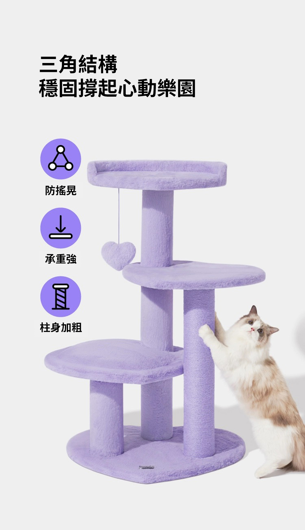 心動紫貓爬架