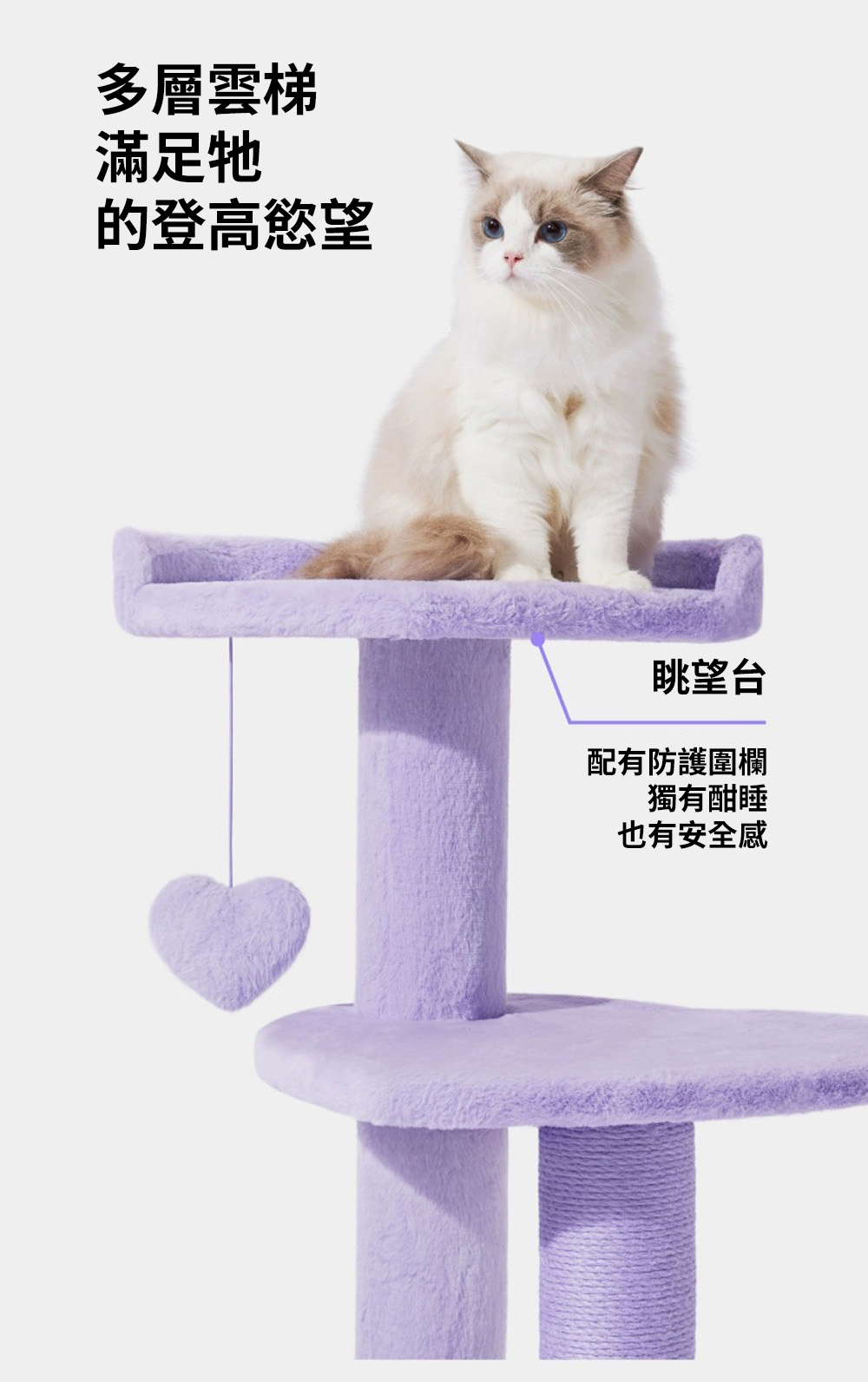 心動紫貓爬架