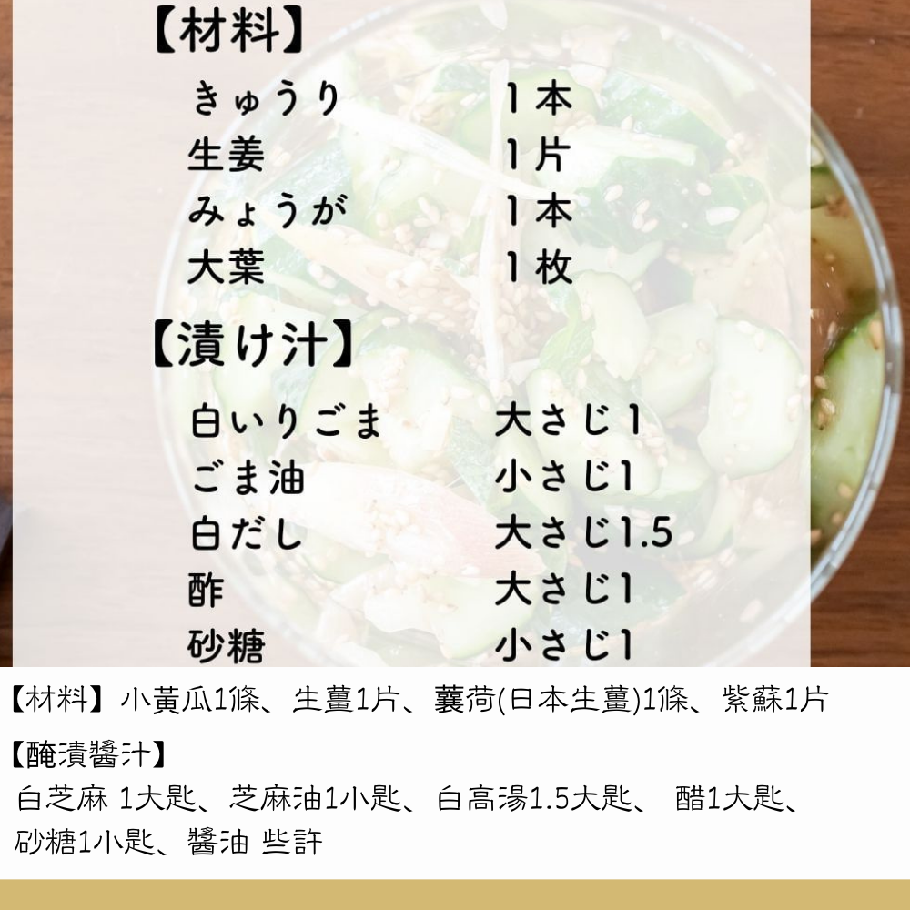 《家事問屋》日本製304不鏽鋼醃漬壓板