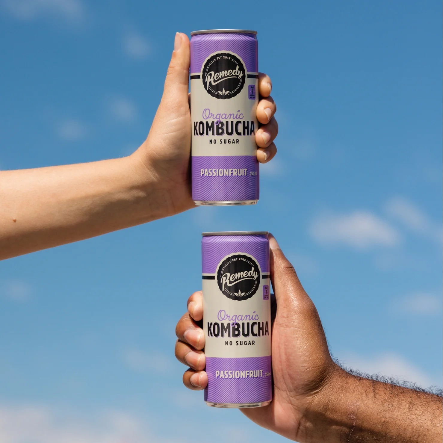 Remedy Kombucha - 澳洲有機康普茶 熱情果味 250ml