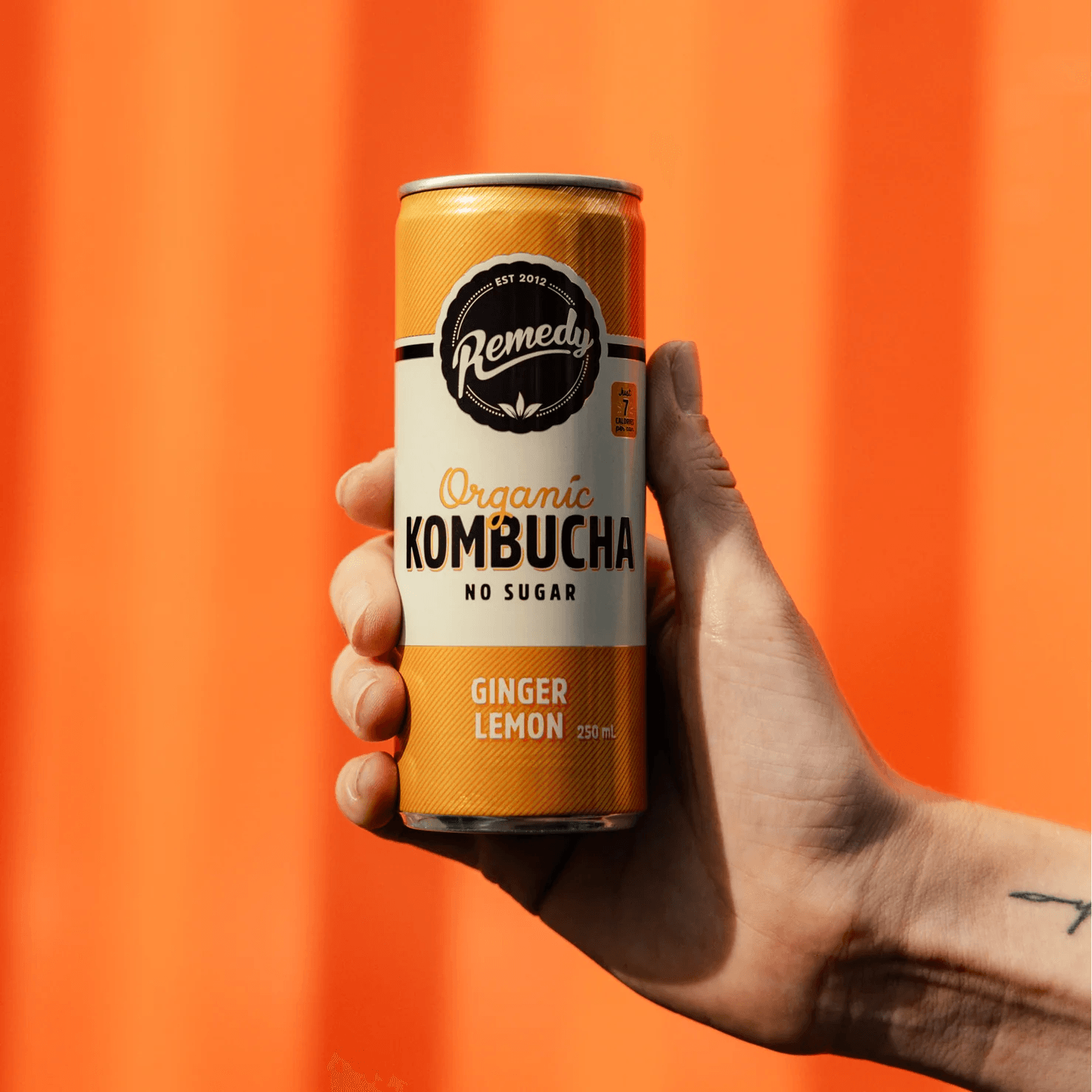 Remedy Kombucha - 澳洲有機紅茶菌檸檬薑 250ml