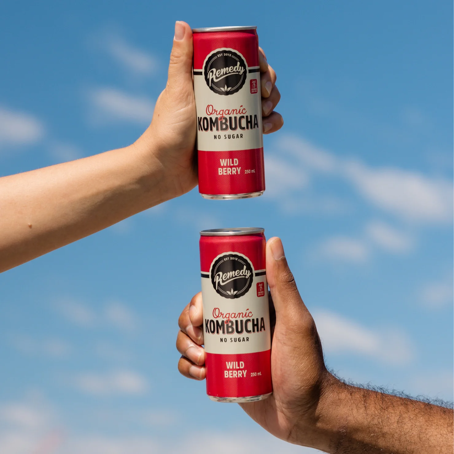 Remedy Kombucha - 澳洲有機康普茶 野莓味250ml