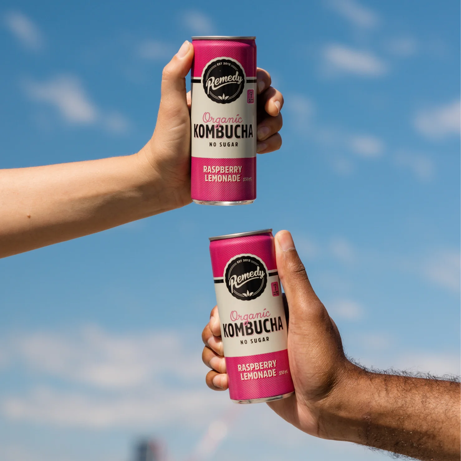 Remedy Kombucha - 澳洲有機紅茶菌紅莓檸檬250ml