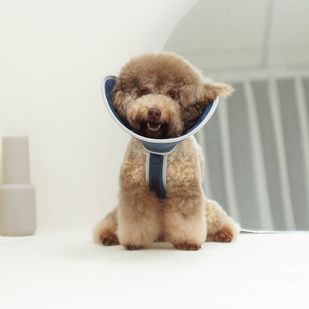 Tutu | 半伴寵物頭套