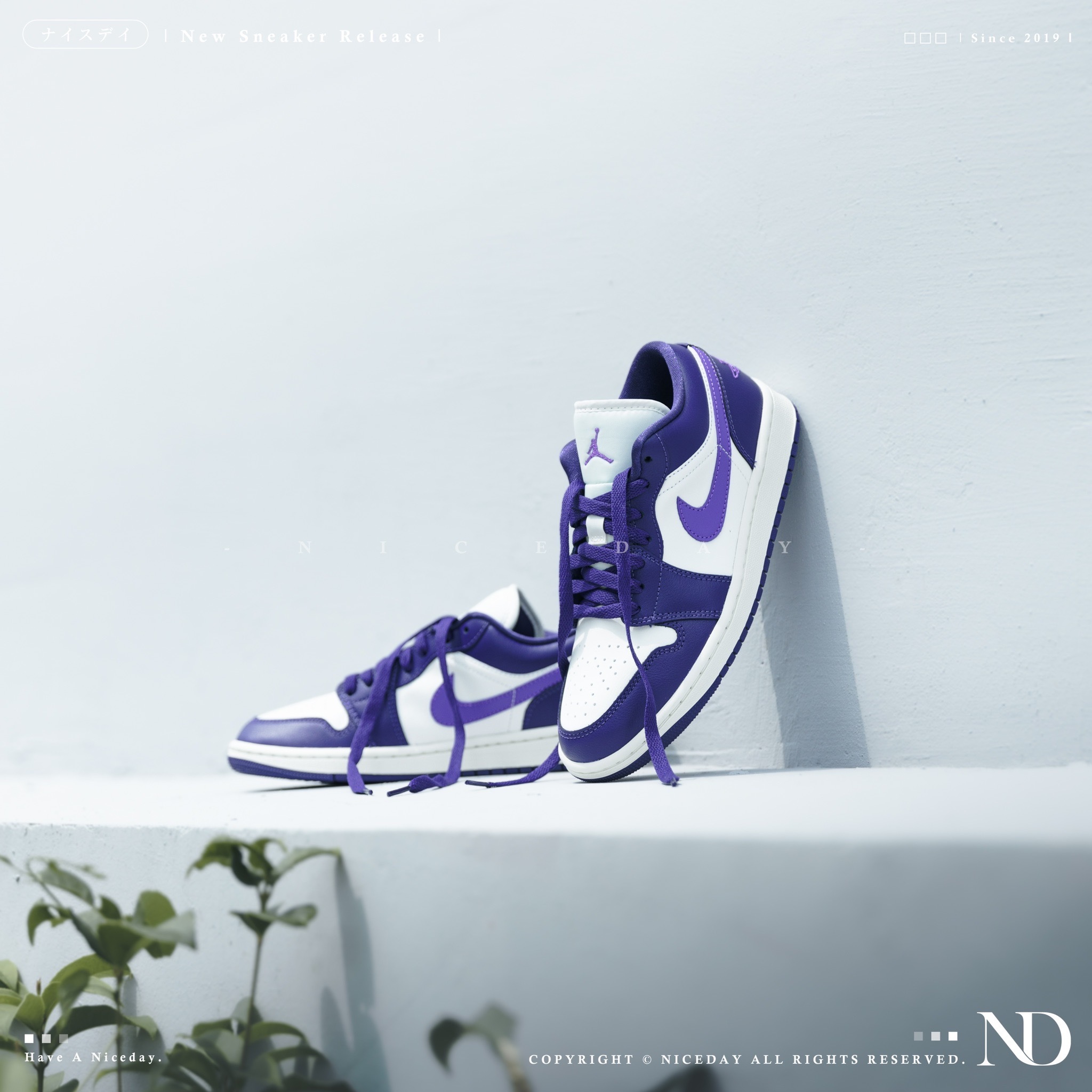 NICEDAY 部分現貨/代購 Air Jordan 1 紫葡萄 紫 白 喬丹 一代 女款 男女尺寸 DC0774-502