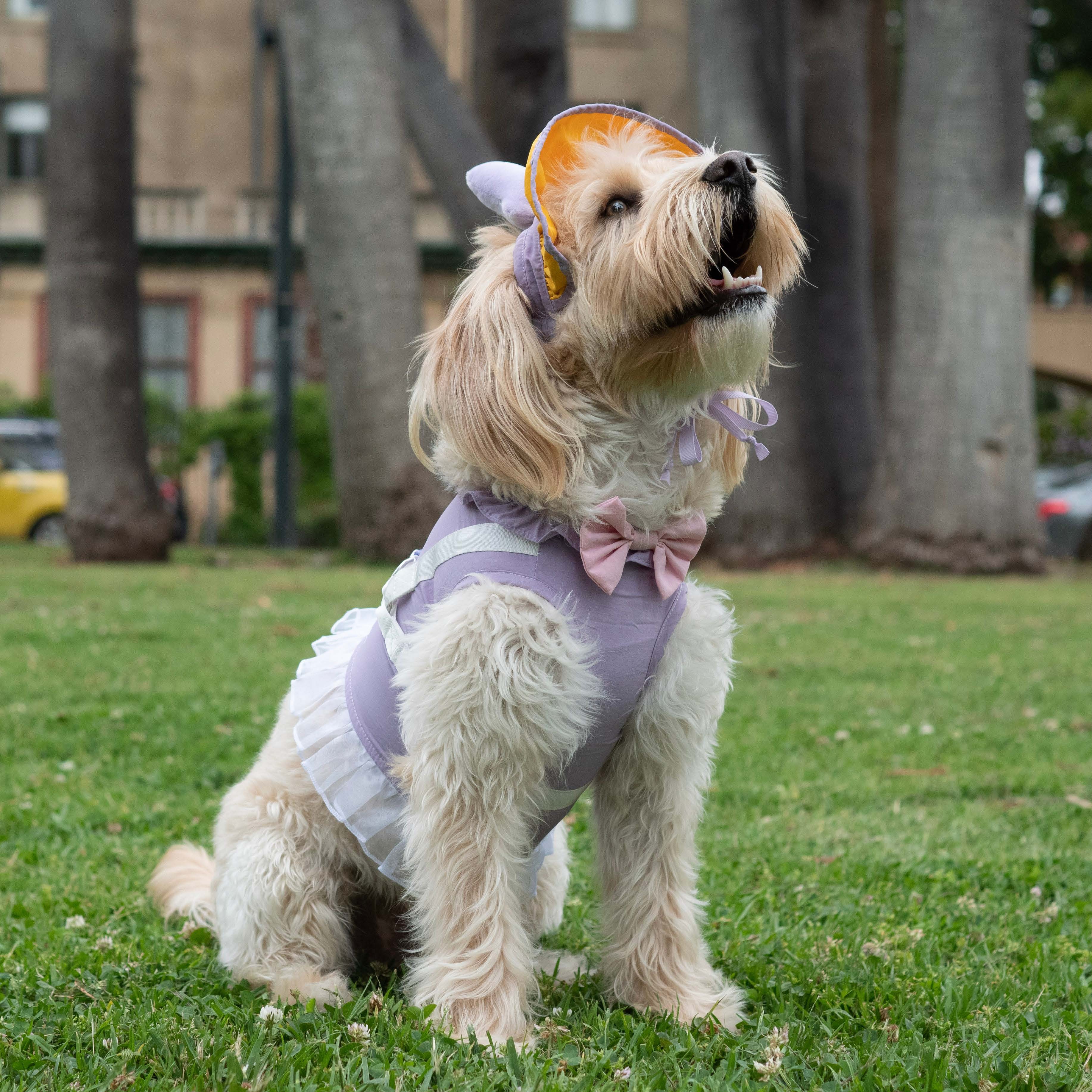 Daisy Duck Premium Disney Harness for Pets