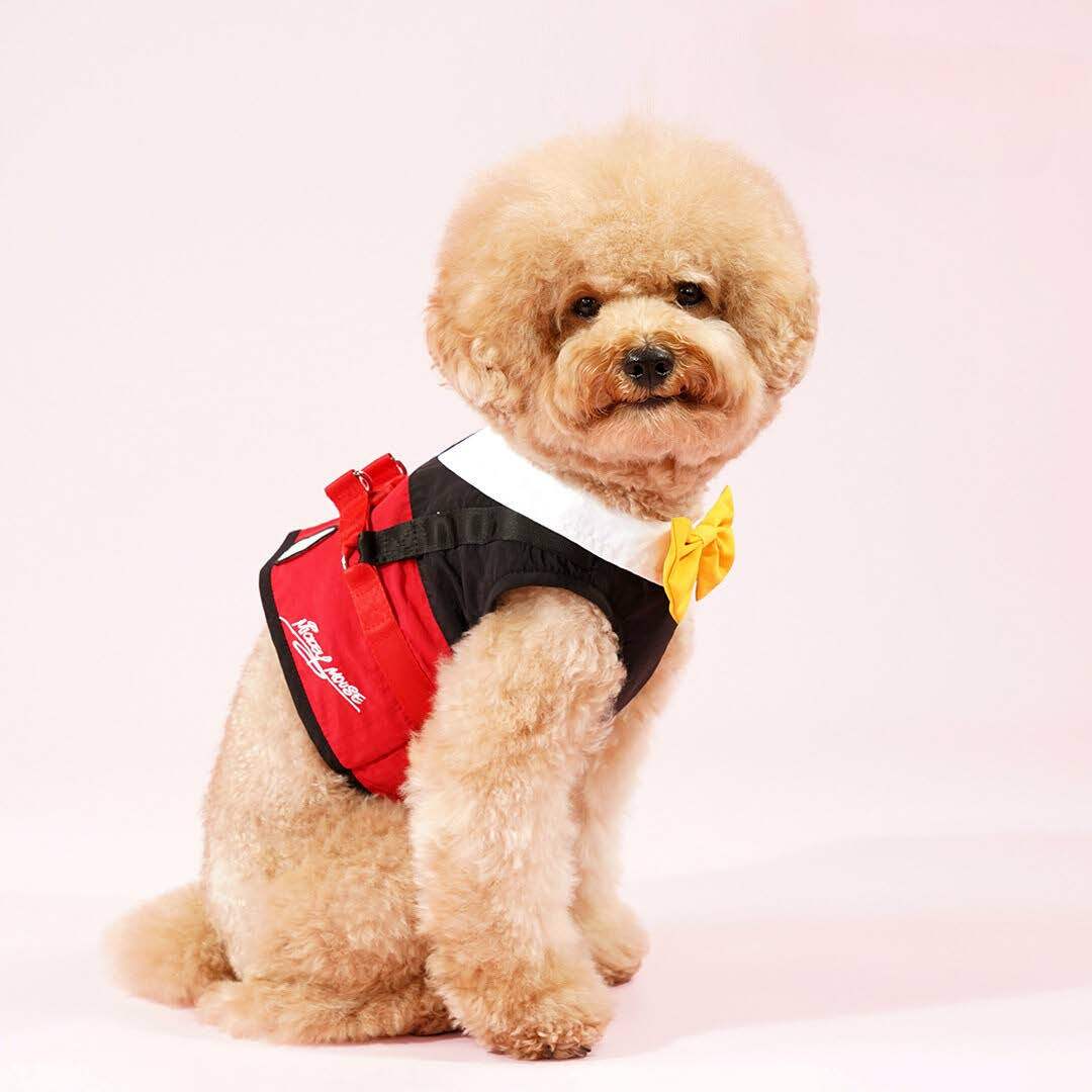 Mickey Mouse Premium Disney Harness for Pets