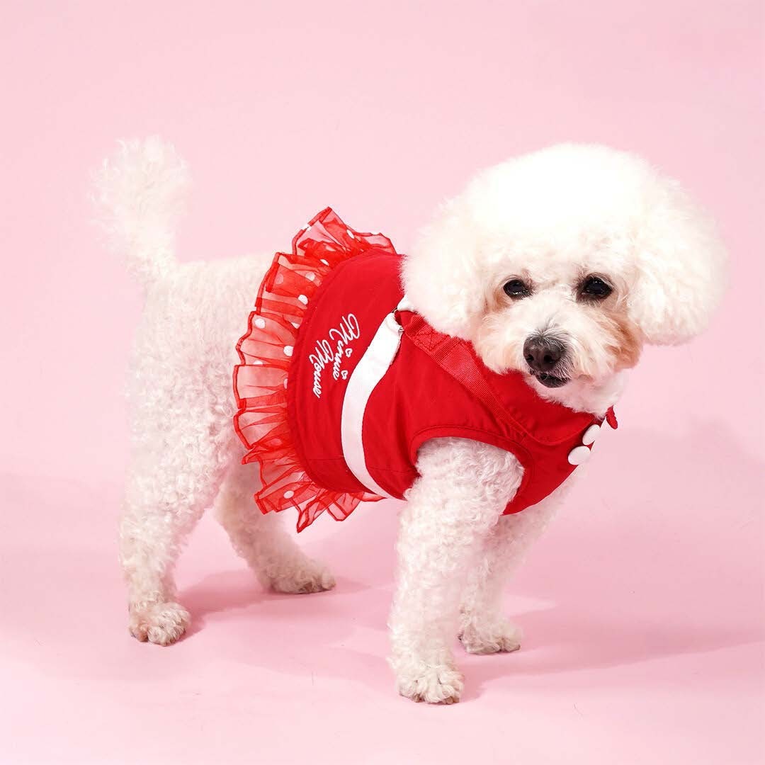 Minnie Mouse Premium Disney Harness for Pets