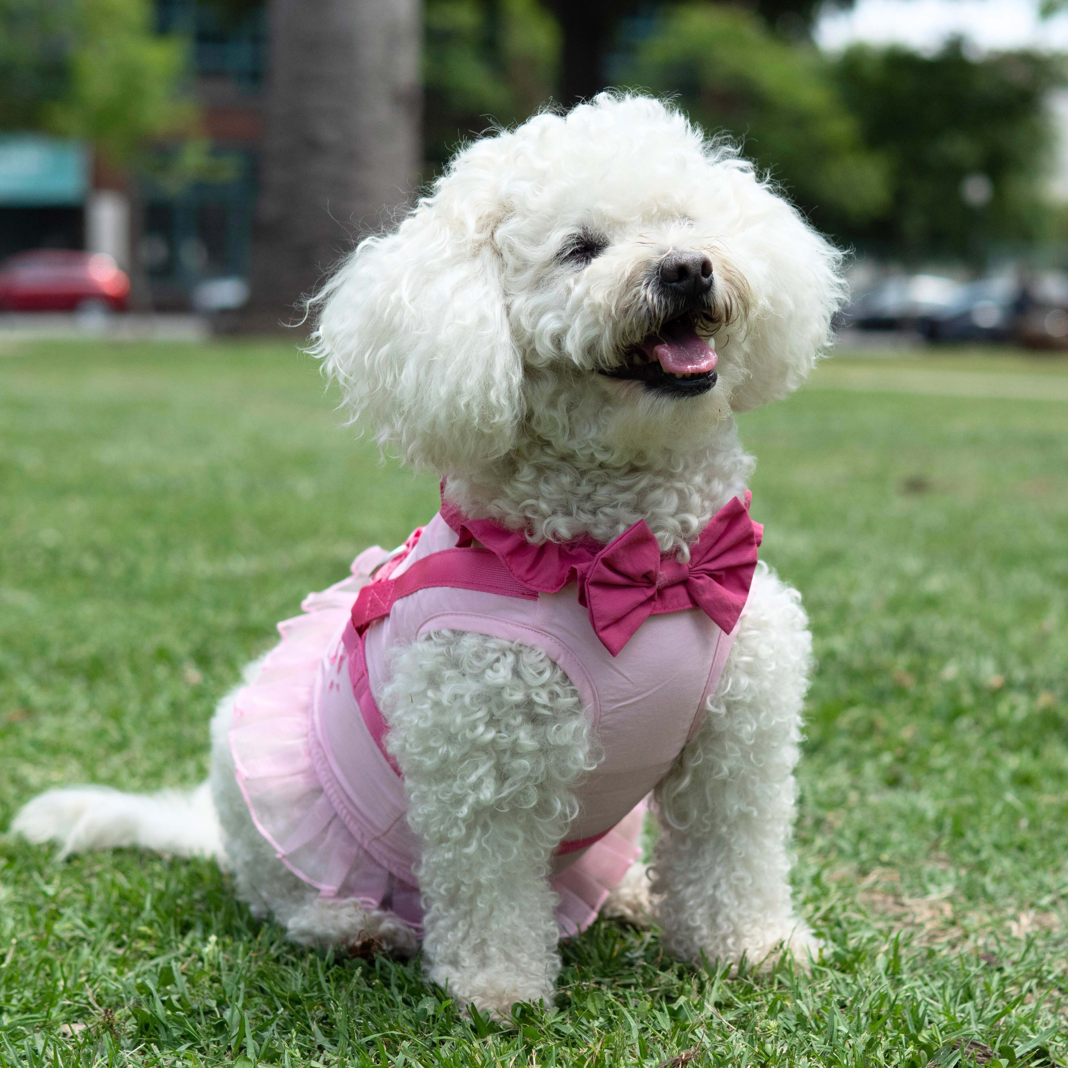 Multi Princess Premium Disney Harness for Pets