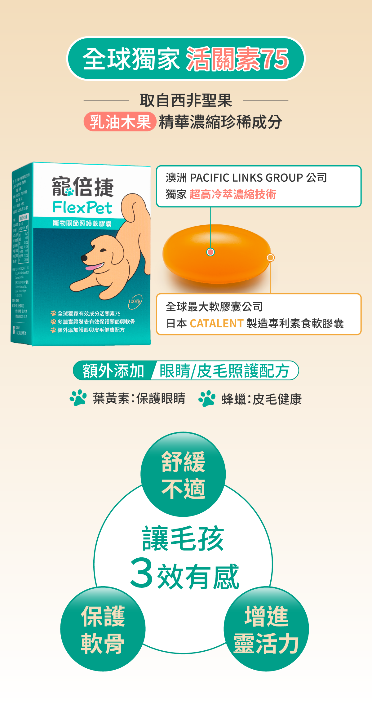 毛孩三效有感說明圖