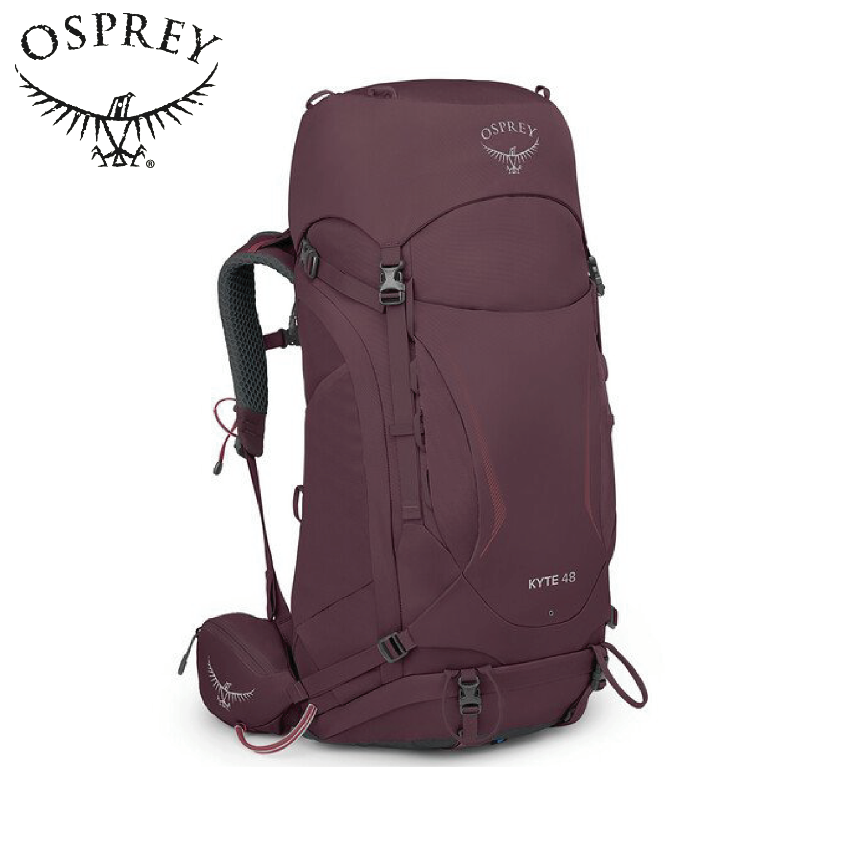 Osprey Kyte 48L 接骨木莓紫 M/L 登山背包 穩定/後背/登山/健行 72OS004785