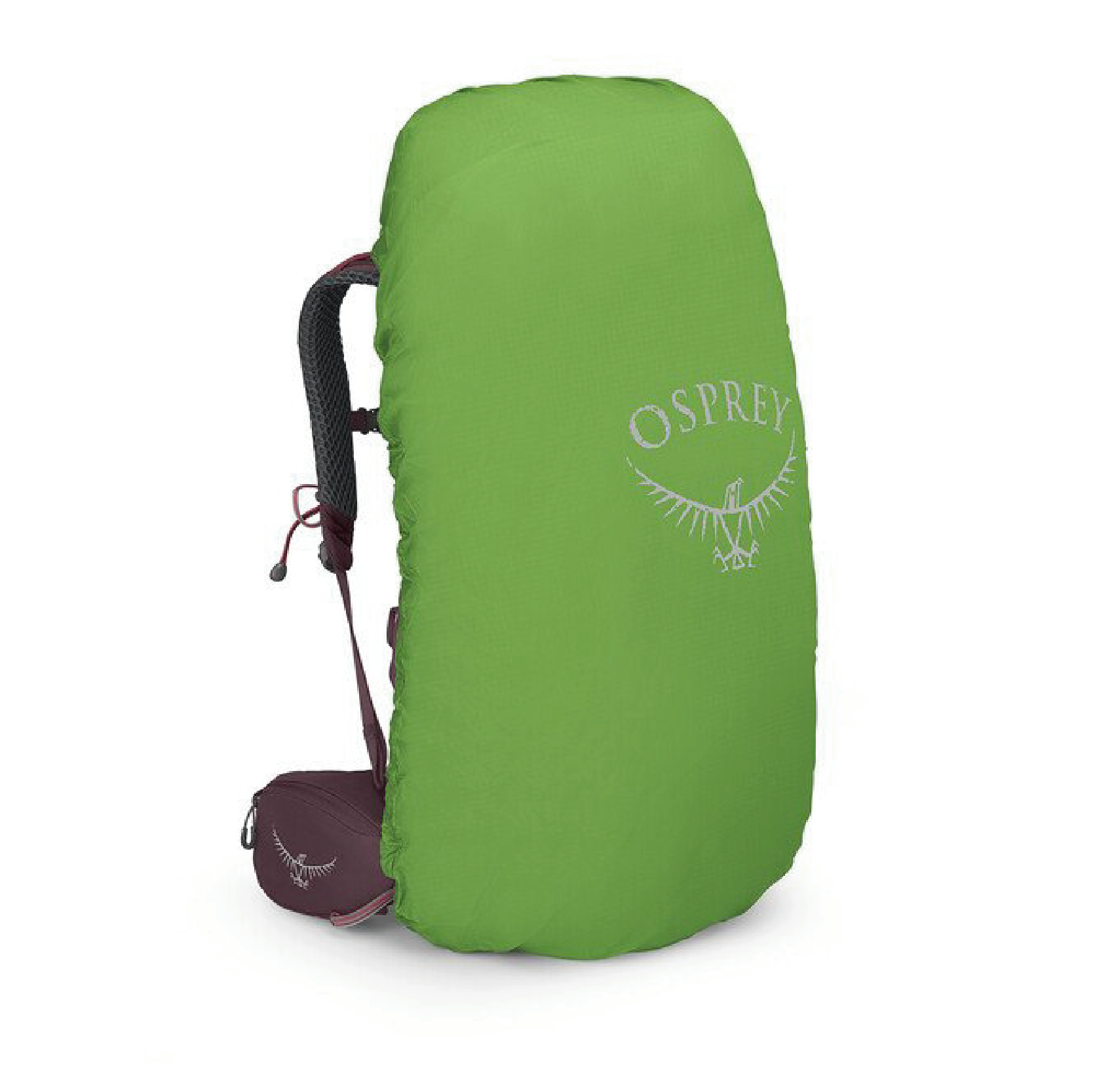 Osprey Kyte 48L 接骨木莓紫 M/L 登山背包 穩定/後背/登山/健行 72OS004785