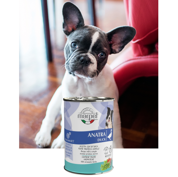 Marpet Equilibria 狗罐頭 單一蛋白系列．鴨肉配方400g
