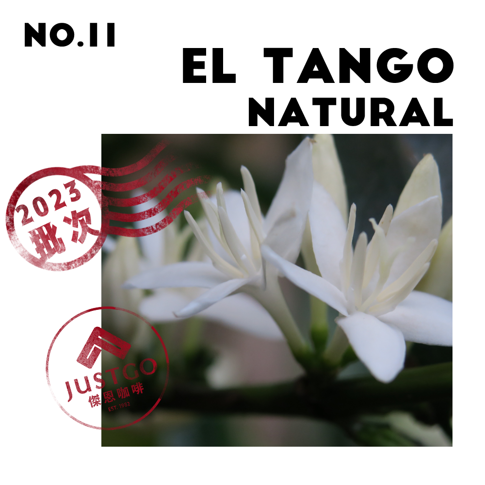 [生豆] No.11 宏都拉斯 探戈莊園 日曬