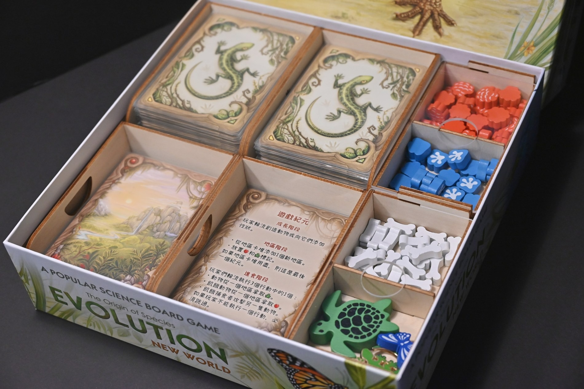 演化：新世界 Evolution: New World 桌遊收納盒