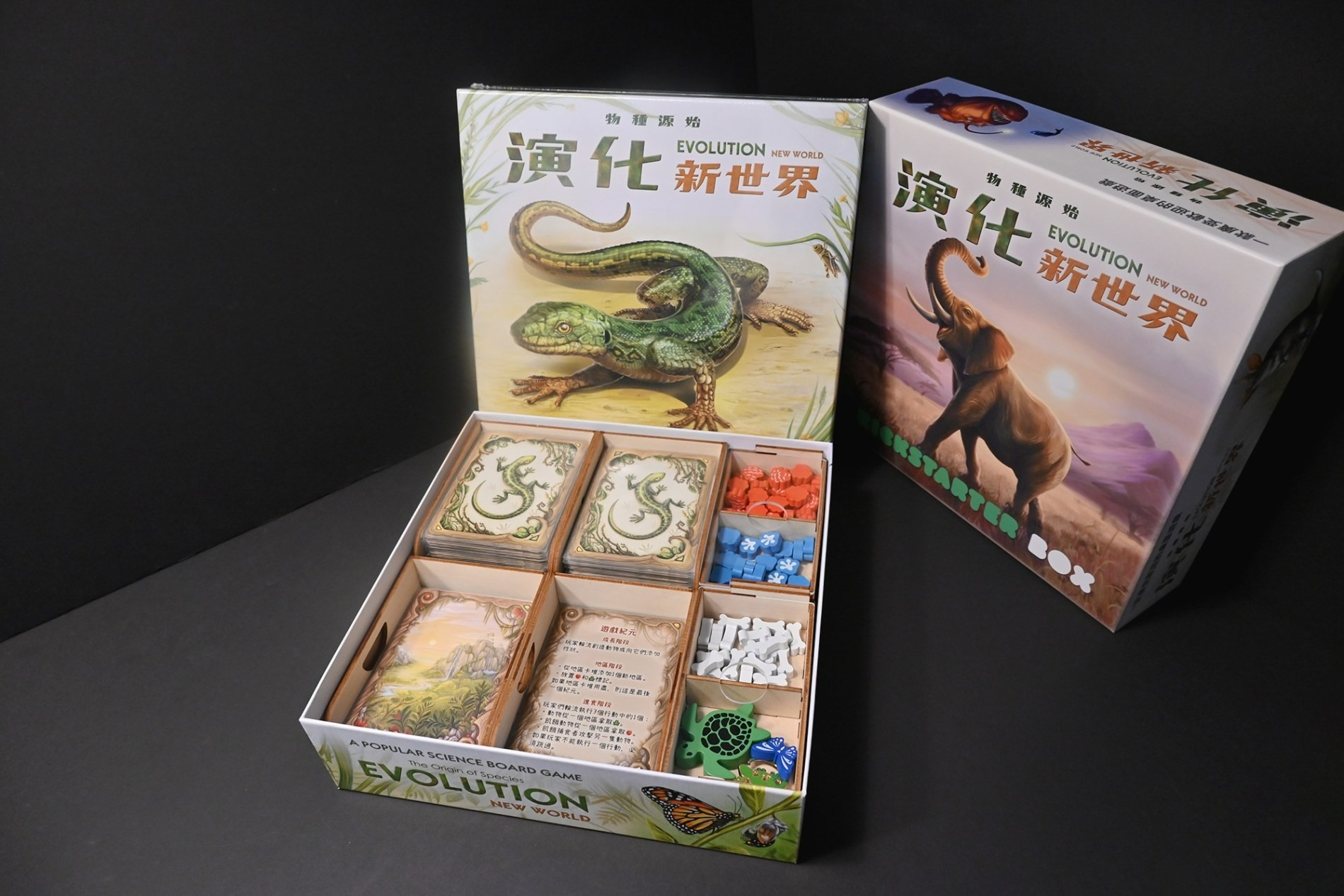 演化：新世界 Evolution: New World 桌遊收納盒