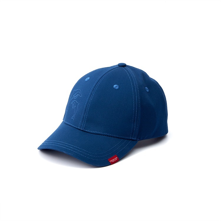 Outline Dolphin Graphic Cap - Adult (Blue)
