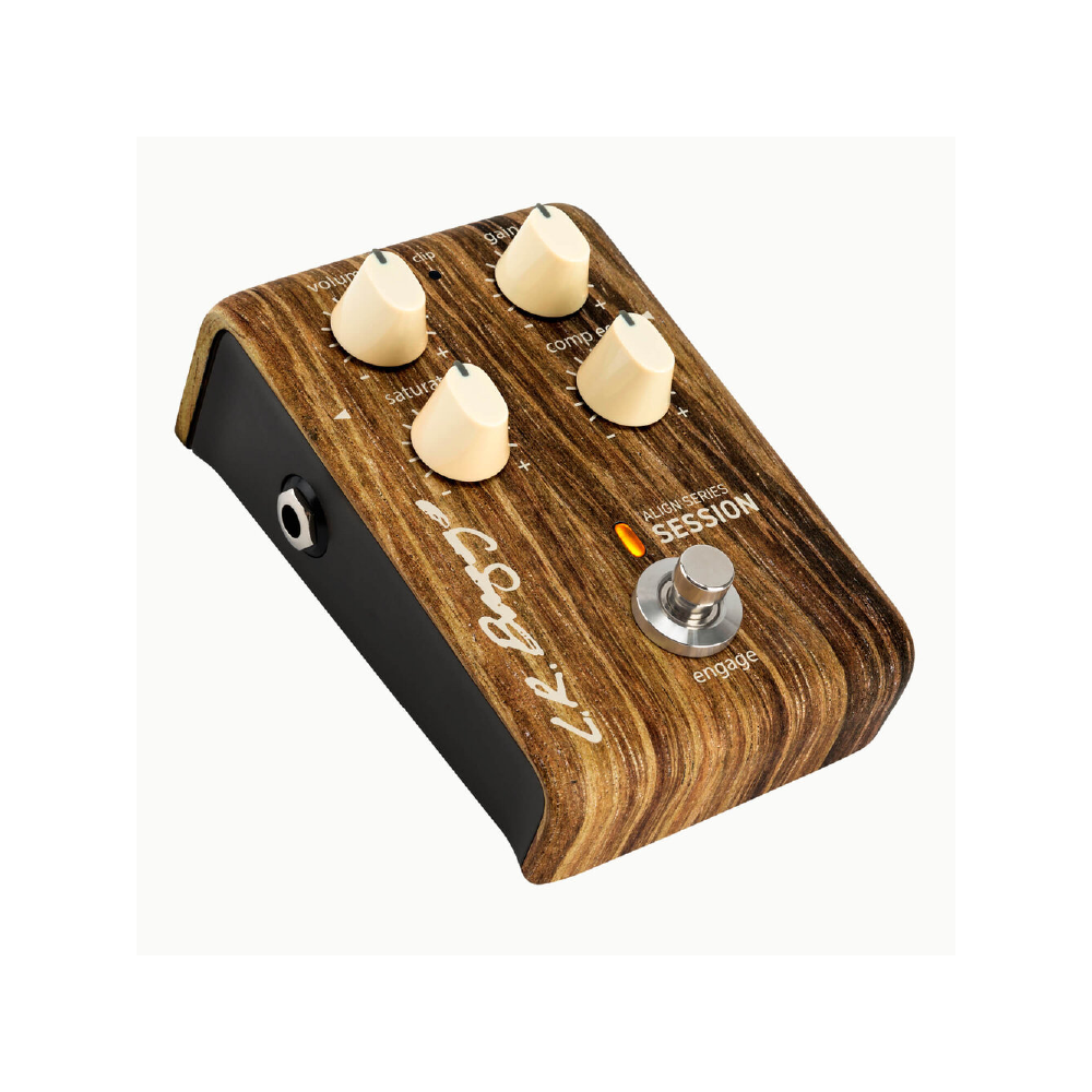 LR Baggs LR Baggs / Session 木吉他前級/DI 第 2 張圖片｜三峽吉他 / Bass