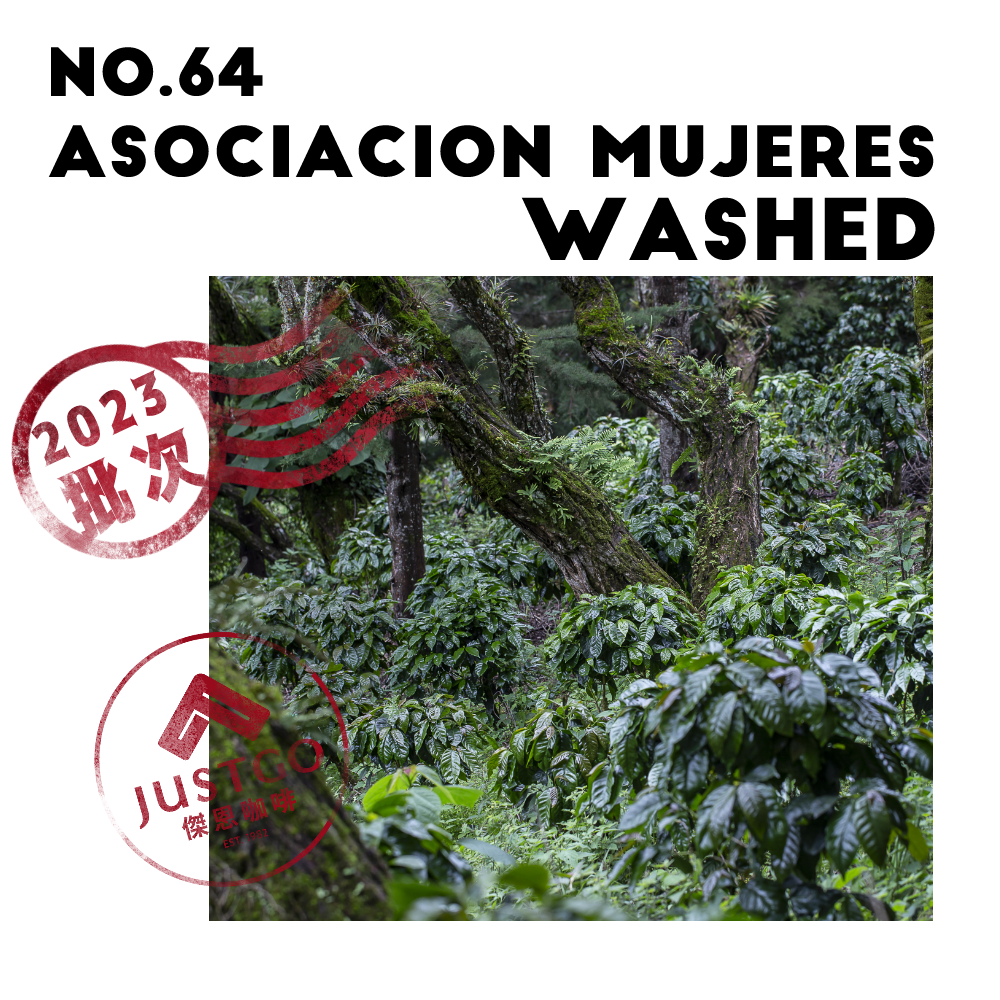 [生豆] No.64 宏都拉斯 微風鐘樓莊園 水洗