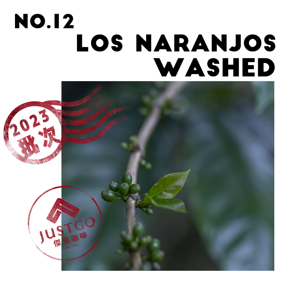 [生豆] No.12 宏都拉斯 橙樹莊園 水洗