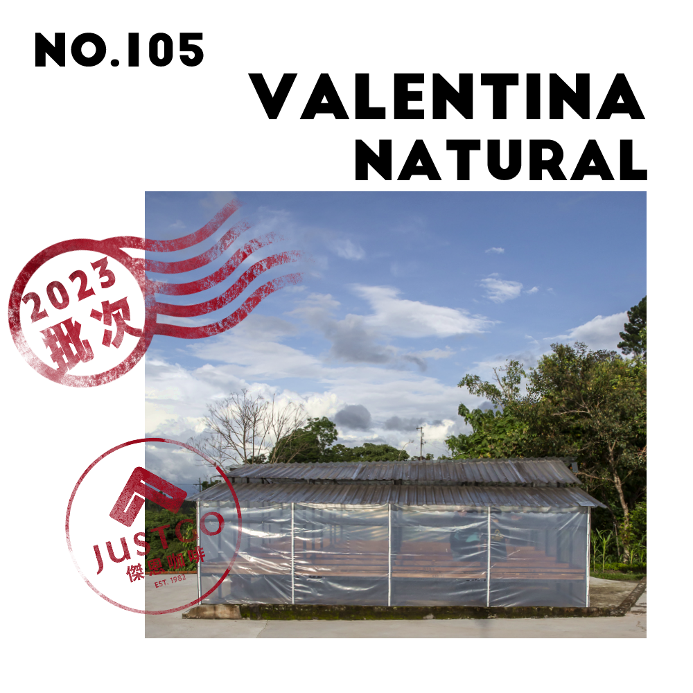 [生豆] No.105 宏都拉斯 瓦倫蒂娜莊園 日曬
